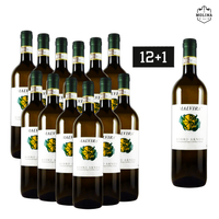 12+1 Aktion, Roero Arneis DOCG, Malvira, Canale(CN), Piemont, 03MAL003_13