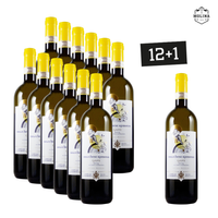 12+1 Aktion, Gavi del Comune di Tassarolo, DOCG, Biologico, Castello di Tassarolo, Marchesi di Spinola, Piemont, 03CAT001_13