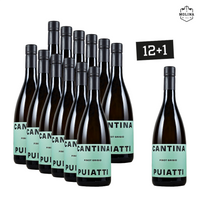 12+1 Aktion, Pinot Grigio, Friuli D.O.P.