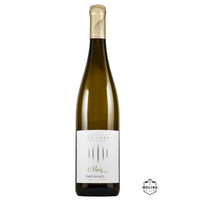 MORIZ, Pinot Bianco DOC, Kellerei Tramin, Tramin an der Weinstraße (BZ), Südtirol, 03CTR010