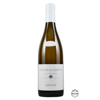 Coteaux du Giennois Blanc, AOC, Vignobles Berthier, Sancerre, Frankreich, 03FBE005