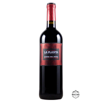 La Planta, Tinto, D.O. Ribera del Duero, Bodegas Arzuaga, Navarro, 04XAR003