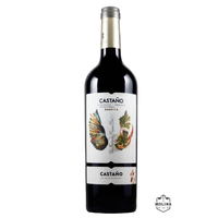 Castano-Ecologico-Barrica-DO-Yecla-Bodegas-Castano-Yecla-DO-Yecla-04XBC008