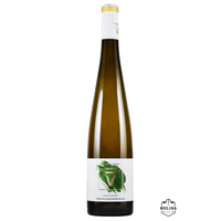 Volver Blanco, Verdejo & Sauvignon, Vinos de la tierra de Castilla, Bodegas Volver, Casa de los Pinos, Cuenca, 03XVO001