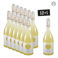 12+1 Aktion, O Luar do Sil, Godello, D.O. Valdeorras, 03XPC002_13