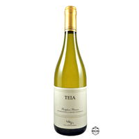 TEIA, Vermentino di Toscana DOC, Bio