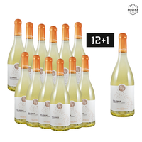 12+1 Aktion, Salende, Vermentino, Bianco Salento, IGT, Tenute Rubino, Brindisi, Apulien, 03RUB003_13