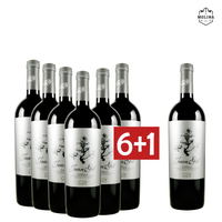 6+1 Aktion Juan Gil, 12 meses, etiqueta plata, D.O. Jumilla, Bio, Bodegas Hijos de Juan Gil, Jumilla, D.O. Jumilla, 04XJG003_7