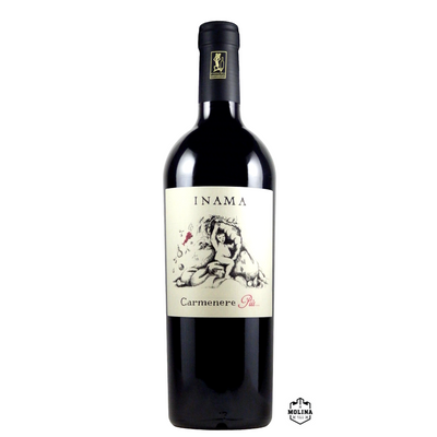 Carménère Più Veneto Rosso IGT